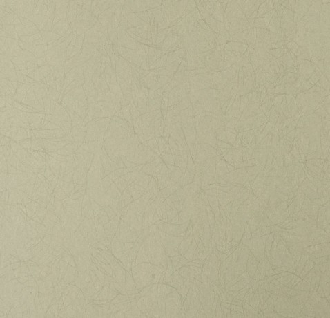 Обои Bernardo Bartalucci Legend 5068-88