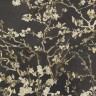 Обои Van Gogh 2 BN 17145